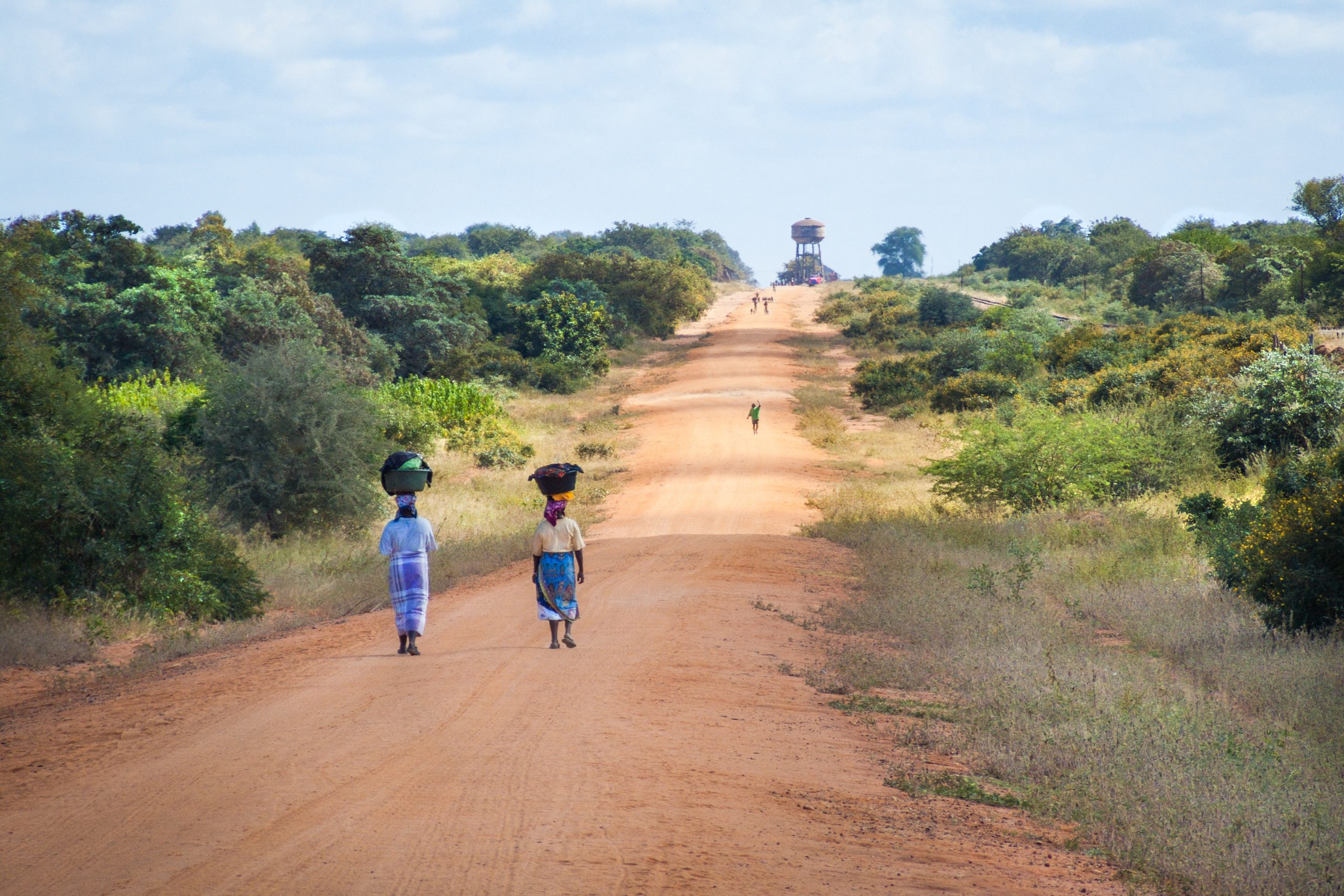 Jeanvdmeulen African Women Walking Along Road 2983081